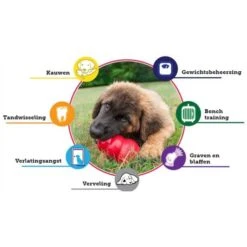 Kong Classic Rood Ø 5,5 Cm - M 7 Kong Classic Rood Ø 5,5 Cm - M -Berühmt Tierbedarf Geschäft kong classic rood 55 cm m 1570536255 3 600