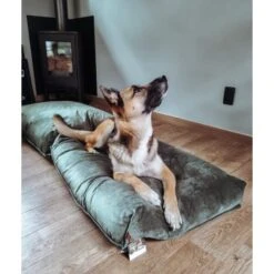 Ligkussen Nalino Hond Groen - Designed By Lotte 7 Ligkussen Nalino Hond Groen - Designed By Lotte -Berühmt Tierbedarf Geschäft ligkussen nalino hond groen 1640001850 1 600