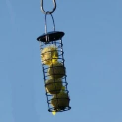 Mezenbollen Premium - Set Van 15 Stuks -Berühmt Tierbedarf Geschäft mezenbollen premium 1512142081 1 600