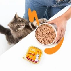 Edgard & Cooper Multipack Paté Voor Volwassen Katten - 8 × 85 G -Berühmt Tierbedarf Geschäft natvoer adult cat 8 x 85 g 1676983458 1 600