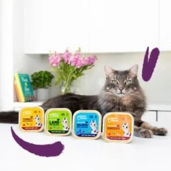 Edgard & Cooper Multipack Paté Voor Volwassen Katten - 8 × 85 G -Berühmt Tierbedarf Geschäft natvoer adult cat 8 x 85 g 1676984517 1 600