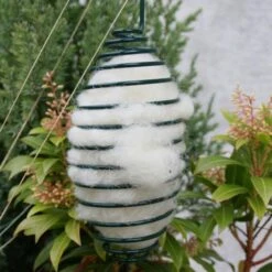 Schapenwol Als Nestmateriaal -Berühmt Tierbedarf Geschäft nestmateriaal schapenwol 1484053461 2 600