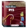 VERSELE-LAGA NutriBird P15 Original Voor Papegaaien - 4 Kg 1 VERSELE-LAGA NutriBird P15 Original Voor Papegaaien - 4 Kg -Berühmt Tierbedarf Geschäft nutribird p15 original 4kg 1625133738 17 600