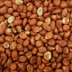 Pindanoten - 4 Kg 5 Pindanoten - 4 Kg -Berühmt Tierbedarf Geschäft pindanoten 4 kg 1484057545 1 600