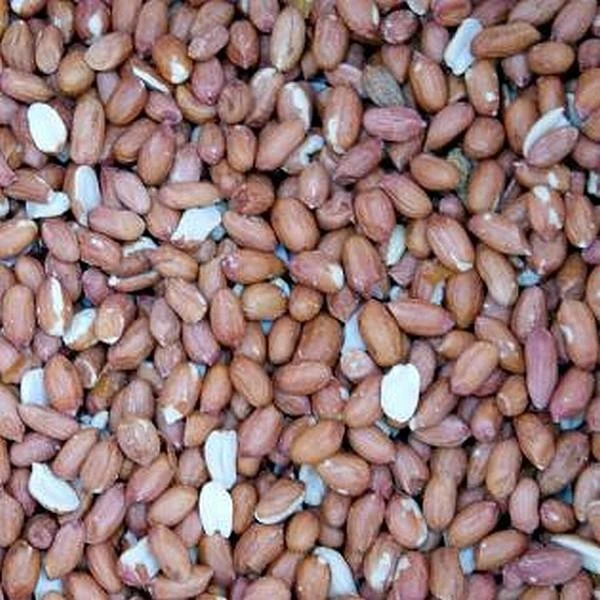 Pindanoten Ongepeld In Net - 1 Kg 4 Pindanoten Ongepeld In Net - 1 Kg - Afbeelding 2