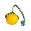 Starmark Swing N Fling Fetch Bal 8 × 6 × 28 Cm - Medium 1 Starmark Swing N Fling Fetch Bal 8 × 6 × 28 Cm - Medium -Berühmt Tierbedarf Geschäft swing n fling fetch ball medium 1632745084 1 600
