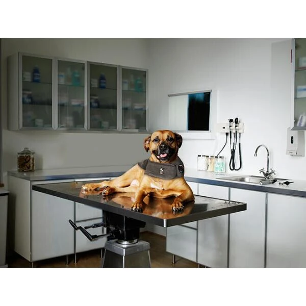 Thundershirt Antistress Voor Honden Grijs - XXS 5 Thundershirt Antistress Voor Honden Grijs - XXS - Afbeelding 3