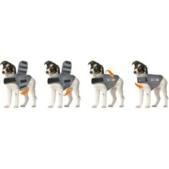 Thundershirt Antistress Voor Honden Grijs - XXS 9 Thundershirt Antistress Voor Honden Grijs - XXS -Berühmt Tierbedarf Geschäft thundershirt antistress xxs 1638184394 4 600
