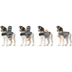 Thundershirt Antistress Voor Honden Grijs - S -Berühmt Tierbedarf Geschäft thundershirt n3 s 1484054462 4 600