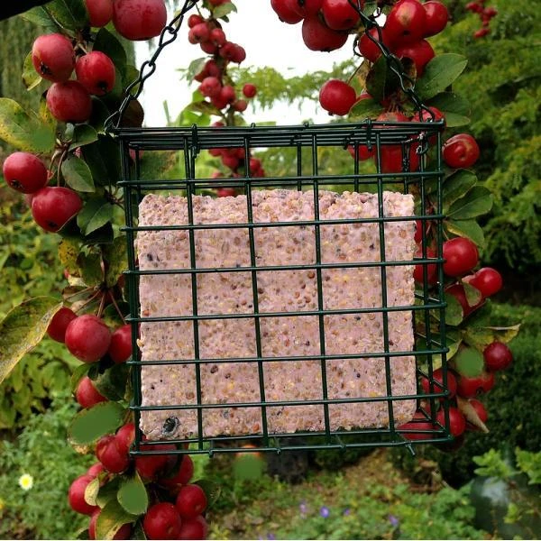 Vetblok Met Bosvruchten 3 Vetblok Met Bosvruchten