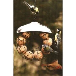 Donut Mezenbollenring -Berühmt Tierbedarf Geschäft vetbolvoedersilo donut 1484053492 3 600