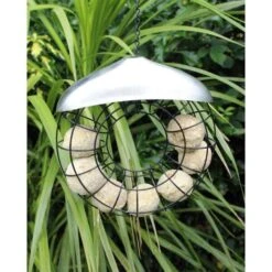 Donut Mezenbollenring -Berühmt Tierbedarf Geschäft vetbolvoedersilo donut 1512597808 1 600