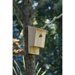 Vleermuizenkast Cederhout - Ca. 18,5 × 12 × 28 Cm -Berühmt Tierbedarf Geschäft vleermuizenkast cederhout 1484067755 1 600