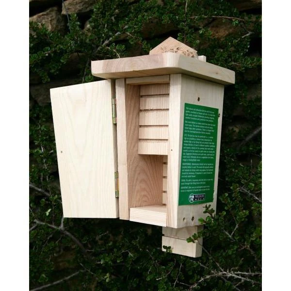 Vleermuizenkast Dubbele Kamer 4 Vleermuizenkast Dubbele Kamer - Afbeelding 2