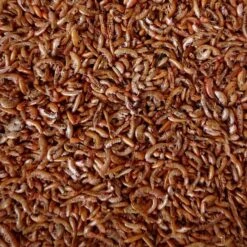 Berühmt Tierbedarf Geschäft 34 Vlokreeftjes Voor Pluimvee - 350 G