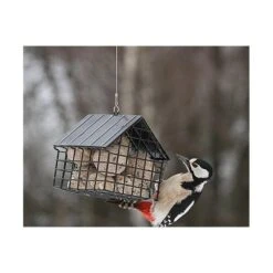 Voederhuisje Zwart Voor Vetbollen -Berühmt Tierbedarf Geschäft voederhuisje zwart voor vetbollen 1571321864 4 600