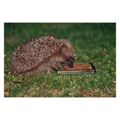 Berühmt Tierbedarf Geschäft -Berühmt Tierbedarf Geschäft voederkom egels 1484053484 1 600