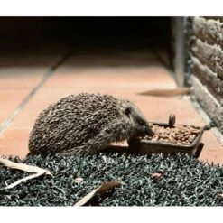 Berühmt Tierbedarf Geschäft 10 Egel Voerbak Keramiek