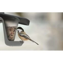 Voedersilo Duofood - Kunststof -Berühmt Tierbedarf Geschäft voedersilo duofood kunststof 1565767973 4 600