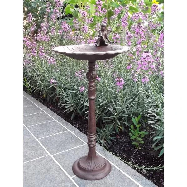 Vogelbad Gietijzer Op Voet Met Elfje 5 Vogelbad Gietijzer Op Voet Met Elfje - Afbeelding 3