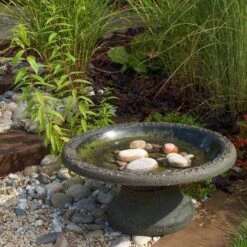 Vogelbad Rustiek XL - Kunststof -Berühmt Tierbedarf Geschäft vogelbad rustiek xl kunststof 1660120179 4 600