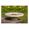 Vogelbad Op Voet 'Shenstone Theatre' Ø 44,5 Cm 1 Vogelbad Op Voet 'Shenstone Theatre' Ø 44,5 Cm -Berühmt Tierbedarf Geschäft vogelbad shenstone theatre 1620809242 1 600