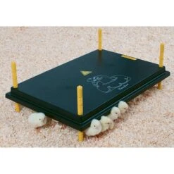 Warmteplaat Voor Kuikens Rechthoekig - 40 X 60 Cm