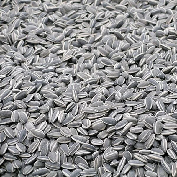 Zonnebloempitten Gestreept Ongepeld - 2,5 Kg 3 Zonnebloempitten Gestreept Ongepeld - 2,5 Kg